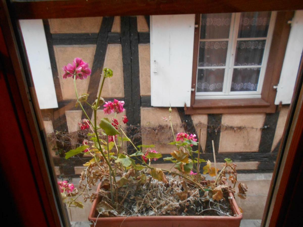 La Cour Des Meuniers - Le Froment Et L'Epeautre Apartment Kaysersberg-Vignoble ภายนอก รูปภาพ